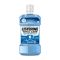 Listerine Advanced Tartar Control Antiseptic Arctic Mint Mouthwash, 250ml